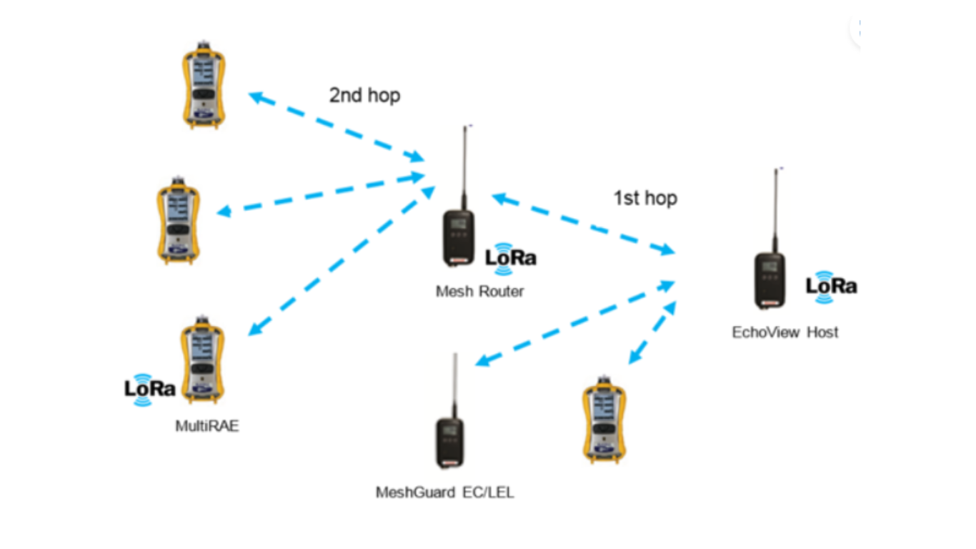 RAE Systems Echoview Host